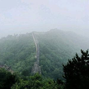 Meet your Posher, Rosa